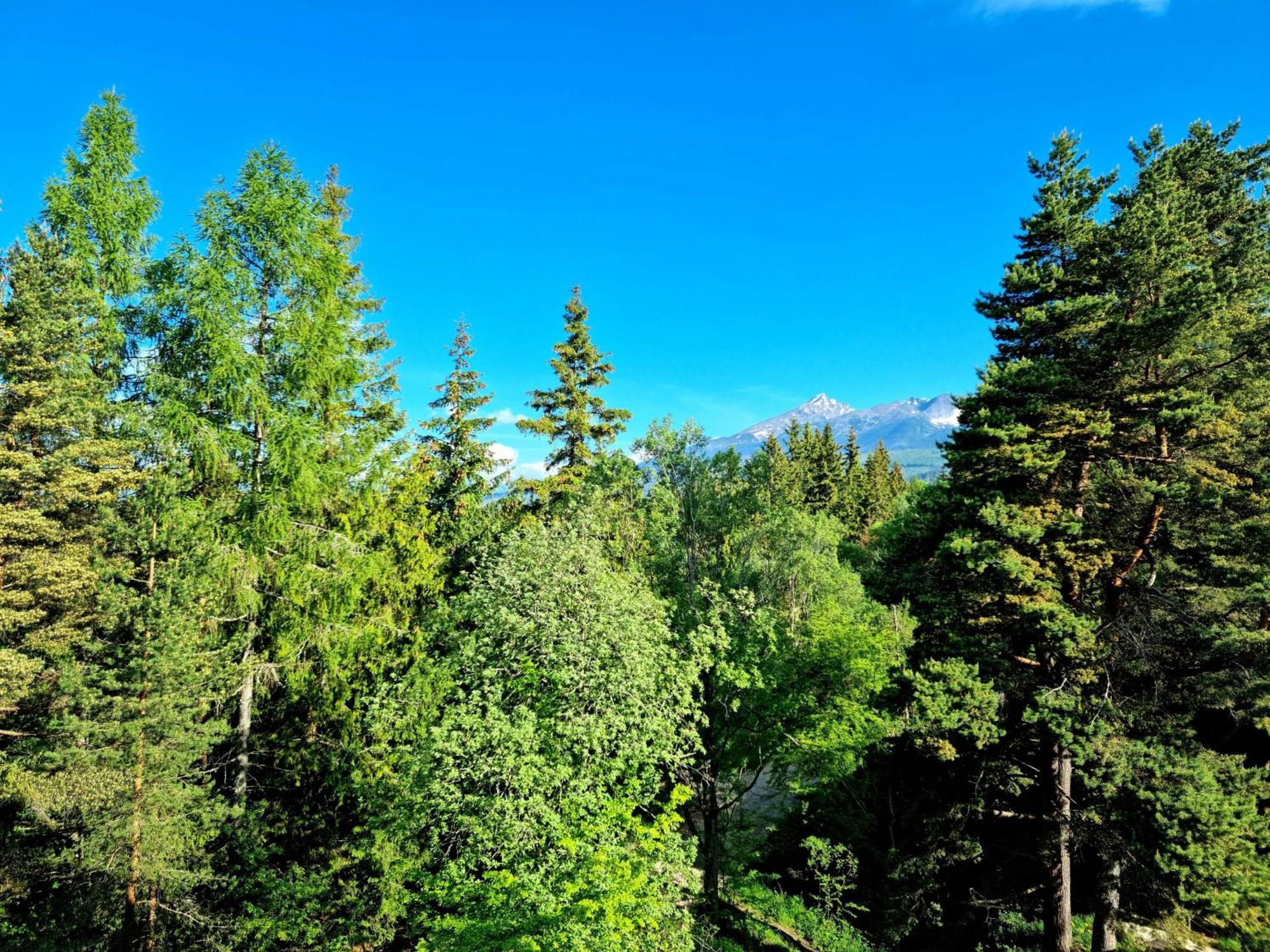 Monte Amnis Apartment Štrbské Pleso Kültér fotó